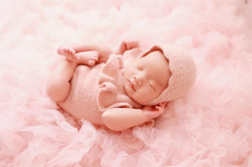 莆田8个月宝宝辅食